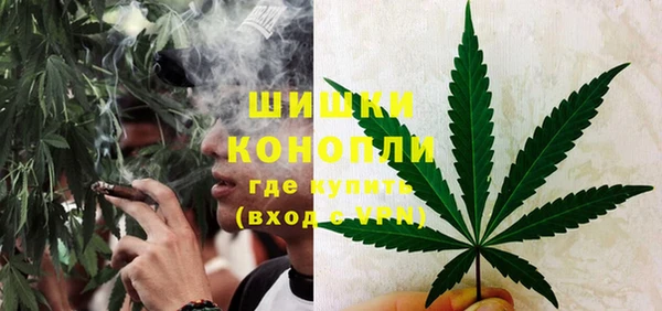 сатива Армянск