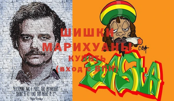 сатива Армянск