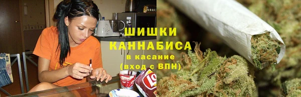 сатива Армянск