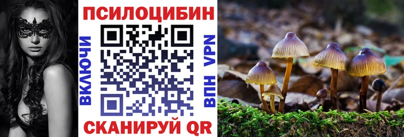 Галлюциногенные грибы MAGIC MUSHROOMS  darknet Telegram  Солнечногорск 