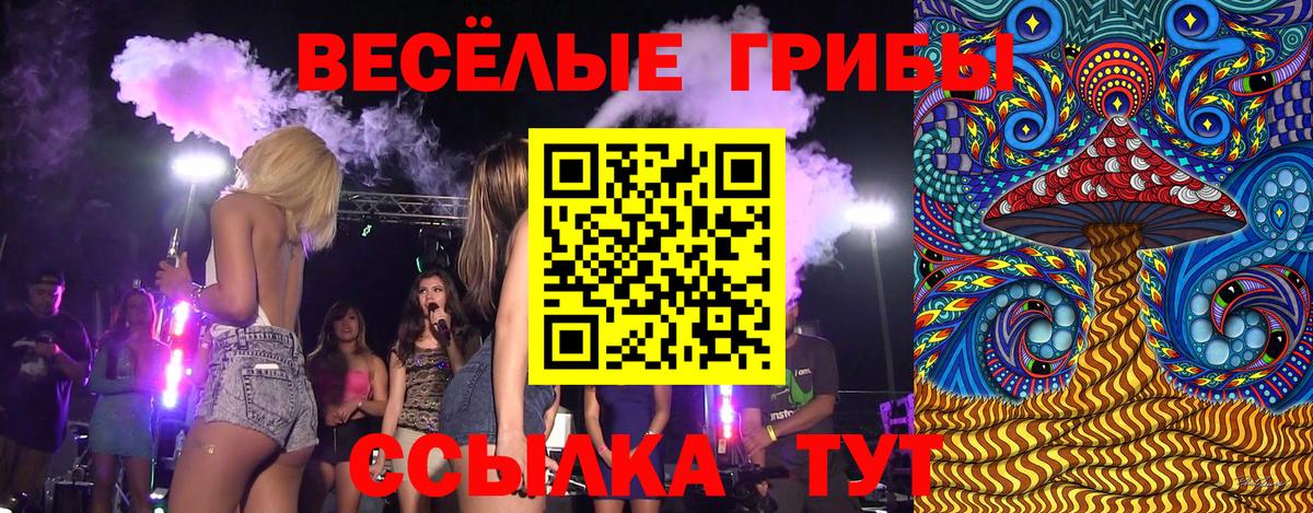 Псилоцибиновые грибы ЛСД  Галлюциногенные грибы Cubensis  Вход с VPN  Солнечногорск 